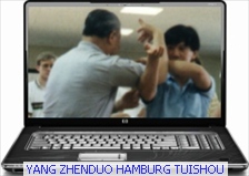 Push Hands Tuishou 6