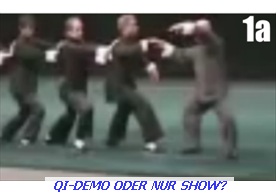 Qi-Demo 1a