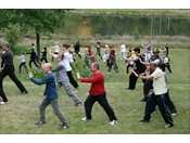  Ausbildung Seminare Taijiquan Qigong 5 Push Hands Treffen