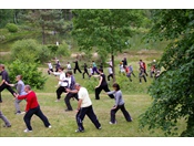  Ausbildung Seminare Taijiquan Qigong 10 Gruppen