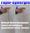 Fajin: Dynamik und Kontrolle des Energie-Einsatzes beim Tuishou / Push Hands