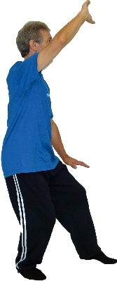 Yang Chengfu Form - Tai Chi Poster