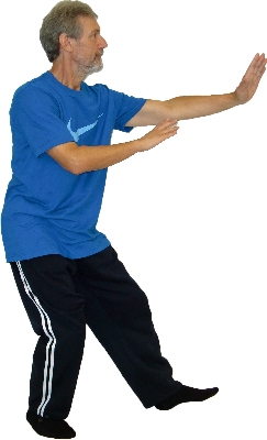 Yang Chengfu Form - Tai Chi Poster
