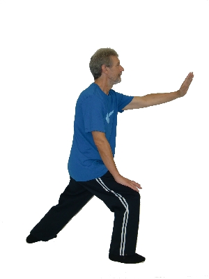 Yang Chengfu Form - Tai Chi Poster