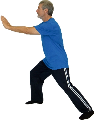 Yang Chengfu Form - Tai Chi Poster