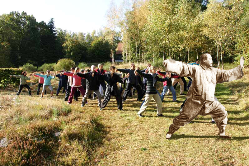 Yang Chengfu Taijiquan in Deutschland