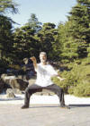 Eisenhemd Qigong Shaolin Qigong: Lehrer-Ausbildung Dr. Langhoff