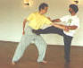 Kampfkunst Wushu Dr. Langhoff mit Partner