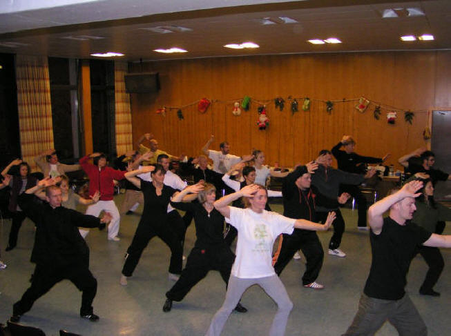 Sarva Niehaus Tai Chi Zentrum