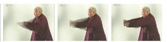 Fajin-Demo Fu Zhongwen