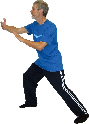 Yang Chengfu Form - Tai Chi Poster