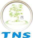 Tai Chi L�neburg