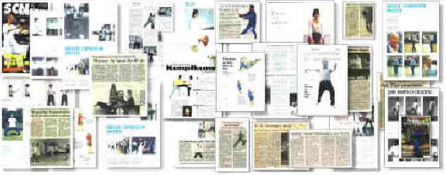Taijiquan Qigong Presse Medien, Journalisten Artikel, Rezensionen, Publikationen