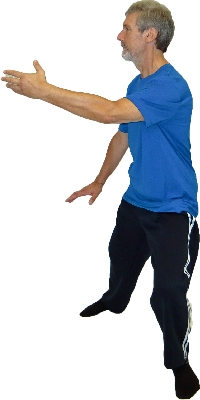 Yang Chengfu Form - Tai Chi Poster