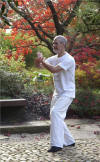 Qi Übung für Kampfkunst: Shaolin Qigong