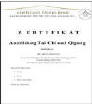 Yang Tai Chi-Lehrerausbildung