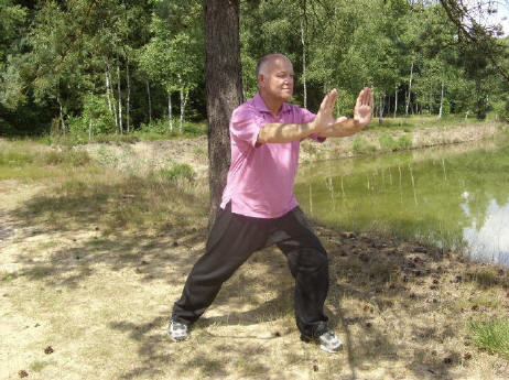 Tai Chi Wolfsburg: Lehrer Norbert Mieruch