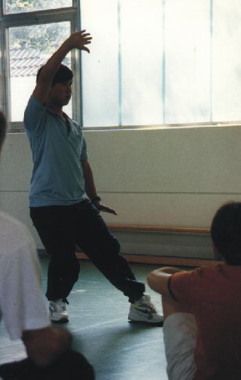 Yang Jun in Hamburg: Kranich