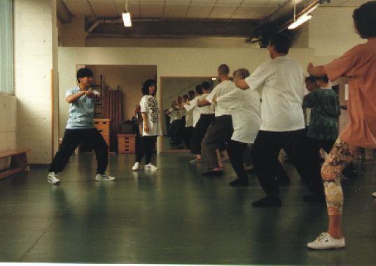 Yang Jun Kurs in Hamburg