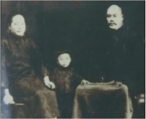 Yang Chengfu: Yang Famiilie Archiv 2011
