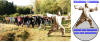 Resilienz-Training mit Tai Chi, Qigong und Tuishou (Push Hands) im DTB-Dachverband